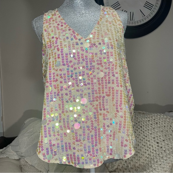 Moulinette Soeurs Sequin V Neck Swing Blouse - Picture 13 of 13